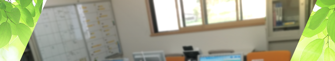 敷地内の写真