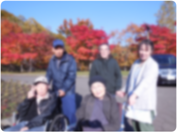 お花見の様子