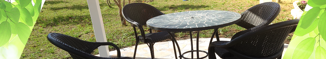 敷地内の写真